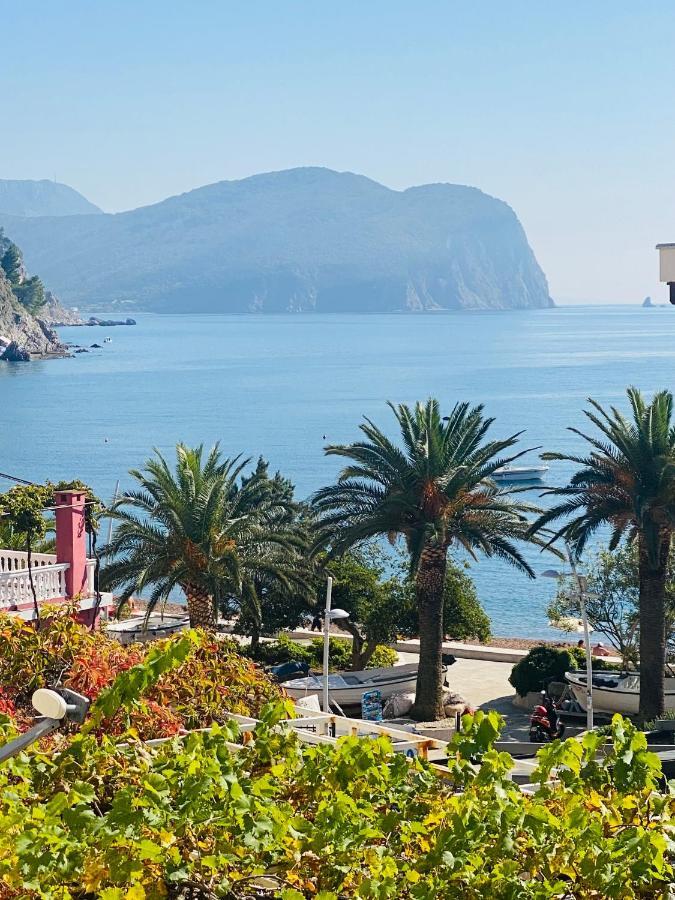 Miomir Perazic Apartments Petrovac Εξωτερικό φωτογραφία